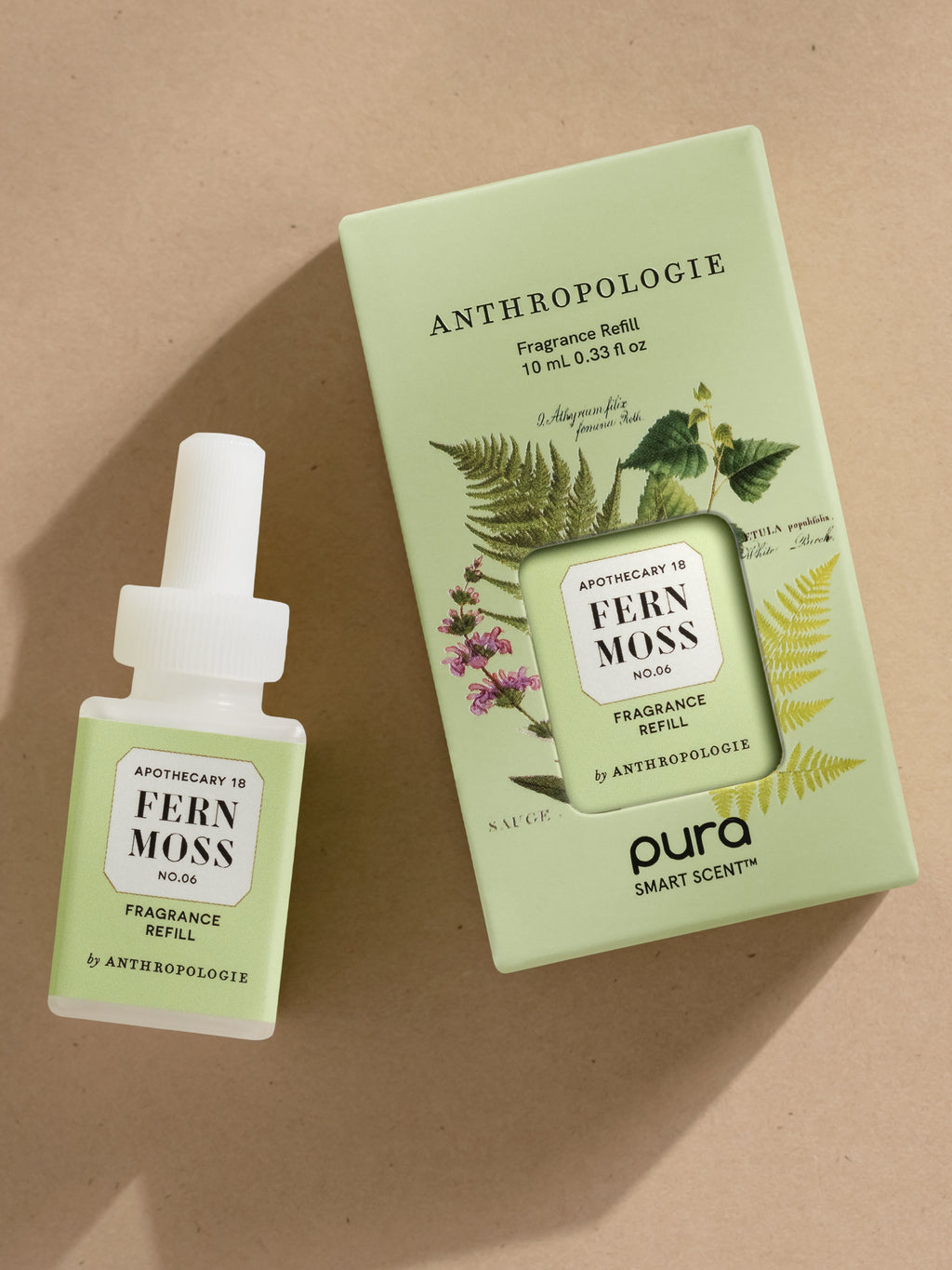 Fern Moss - Everyday Room Refresh