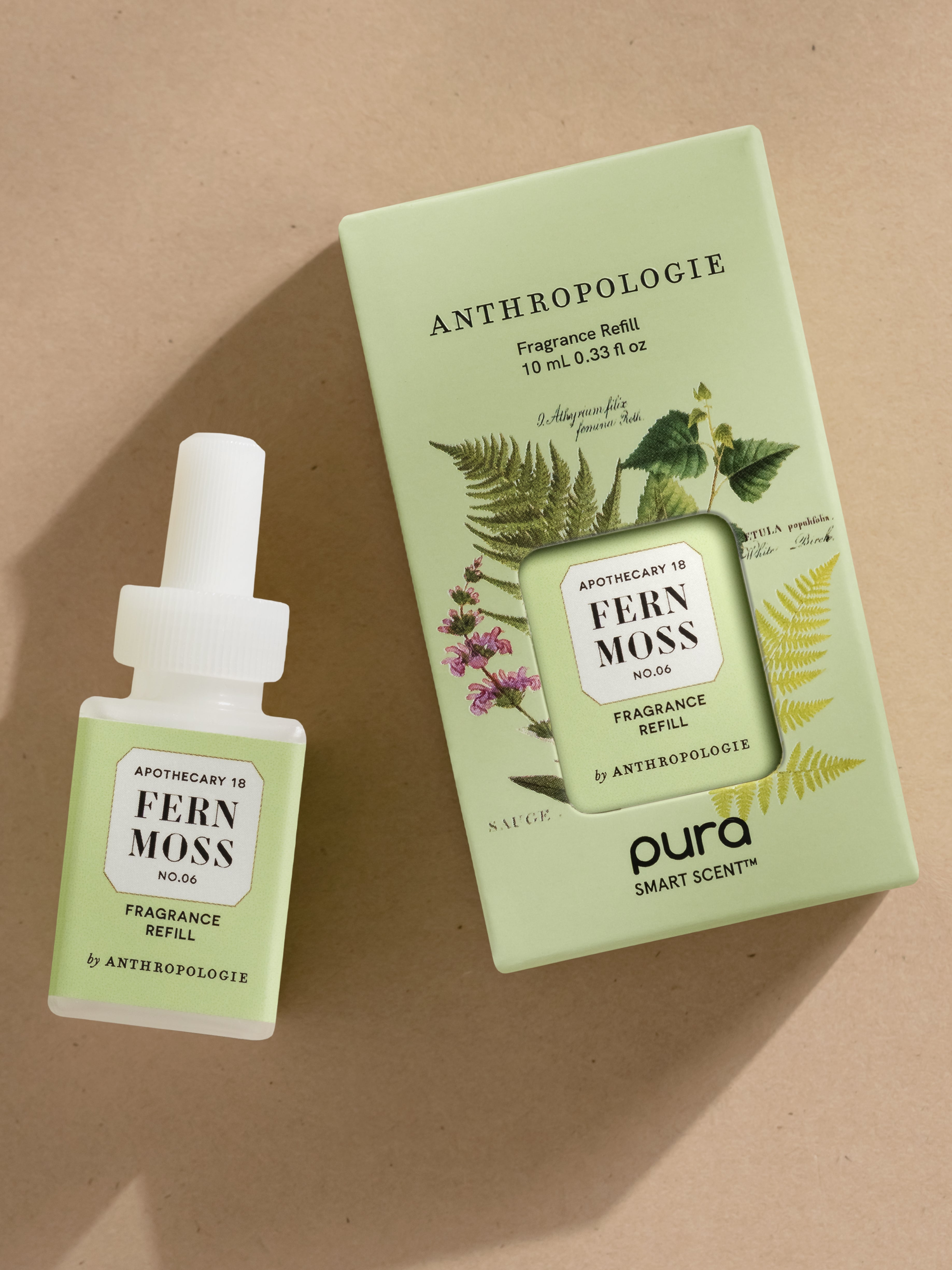 Fern Moss - Everyday Room Refresh
