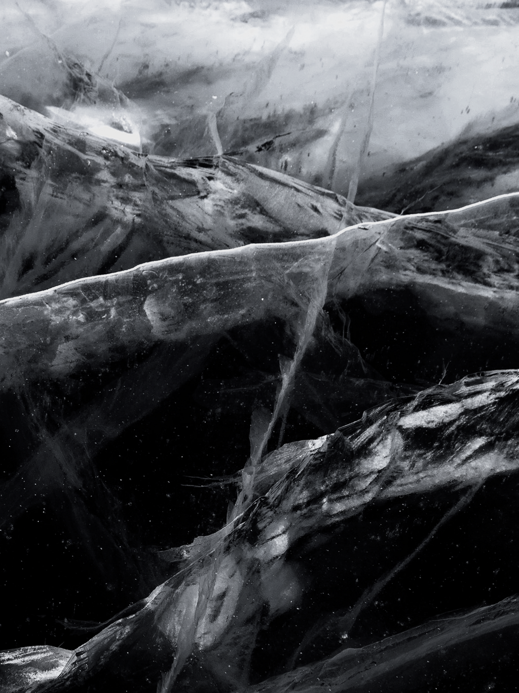 Black Frost - Your Daily Fragrance