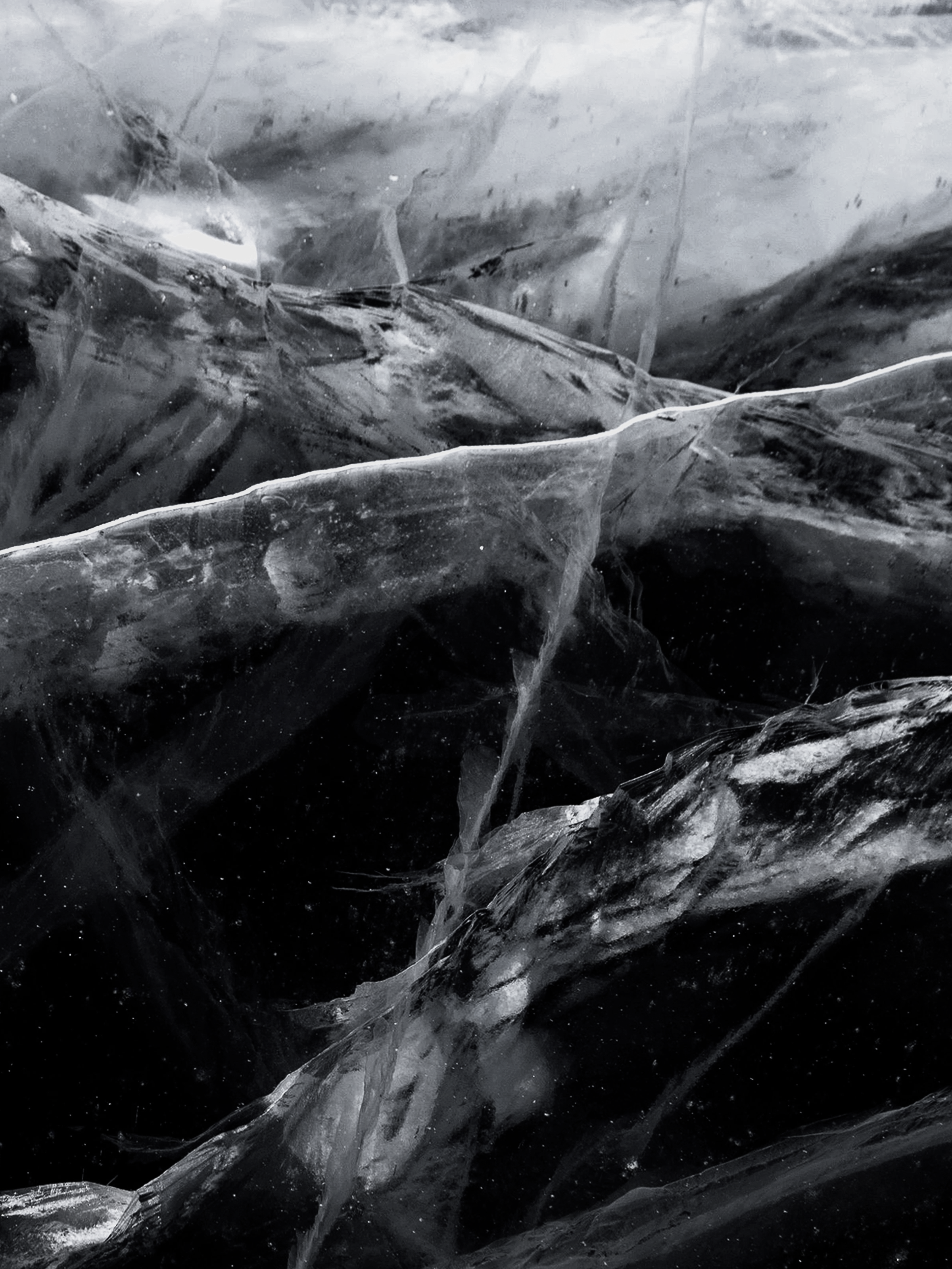 Black Frost - Your Daily Fragrance