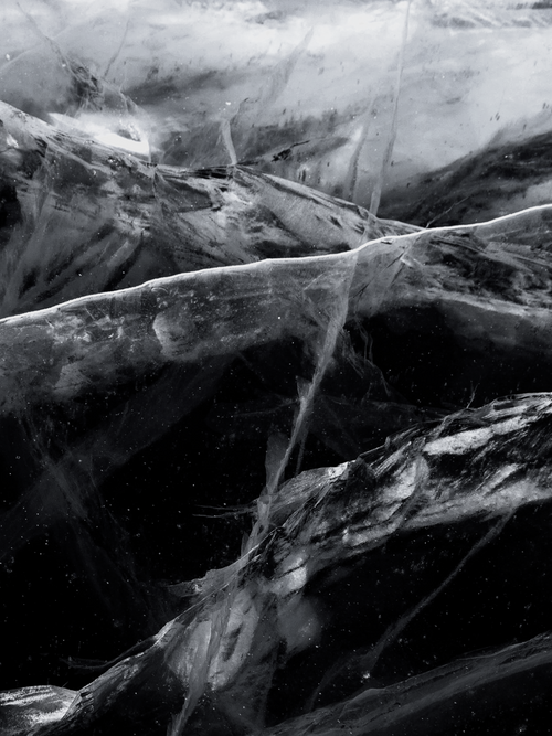Black Frost - Your Daily Fragrance