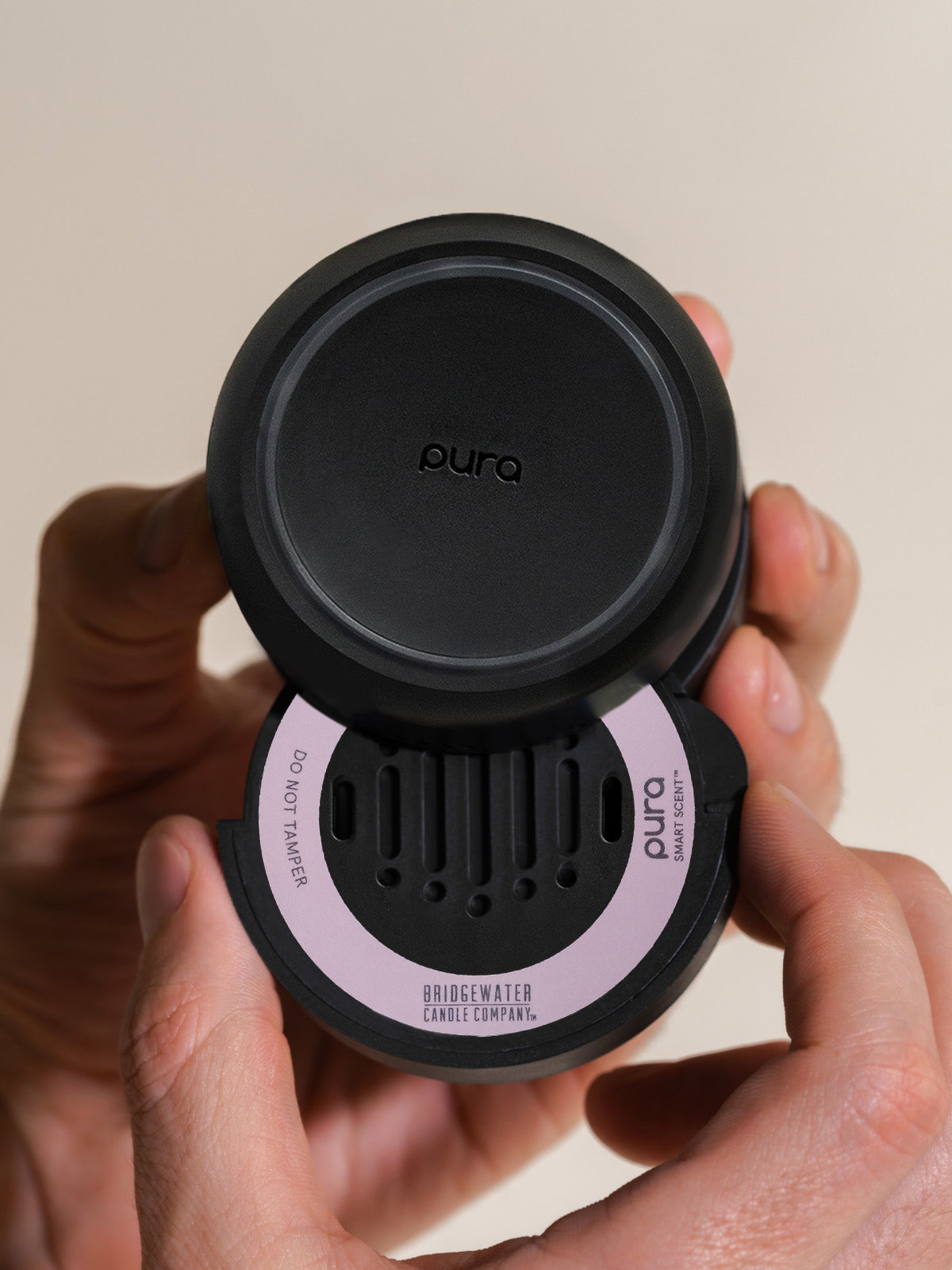 Sweet Grace - Pura Upgrade