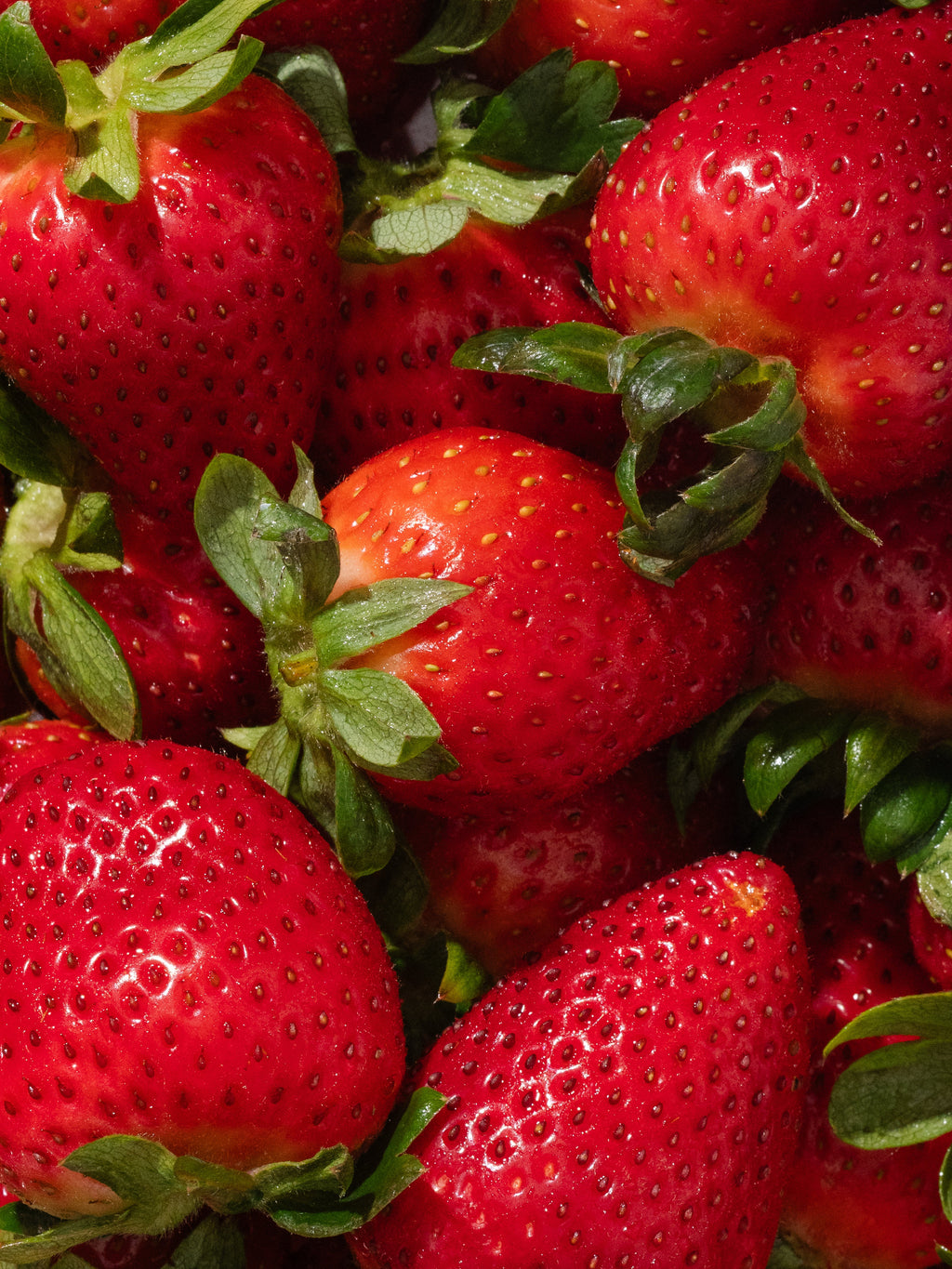 Let's Celebrate - Fresh for Weekends