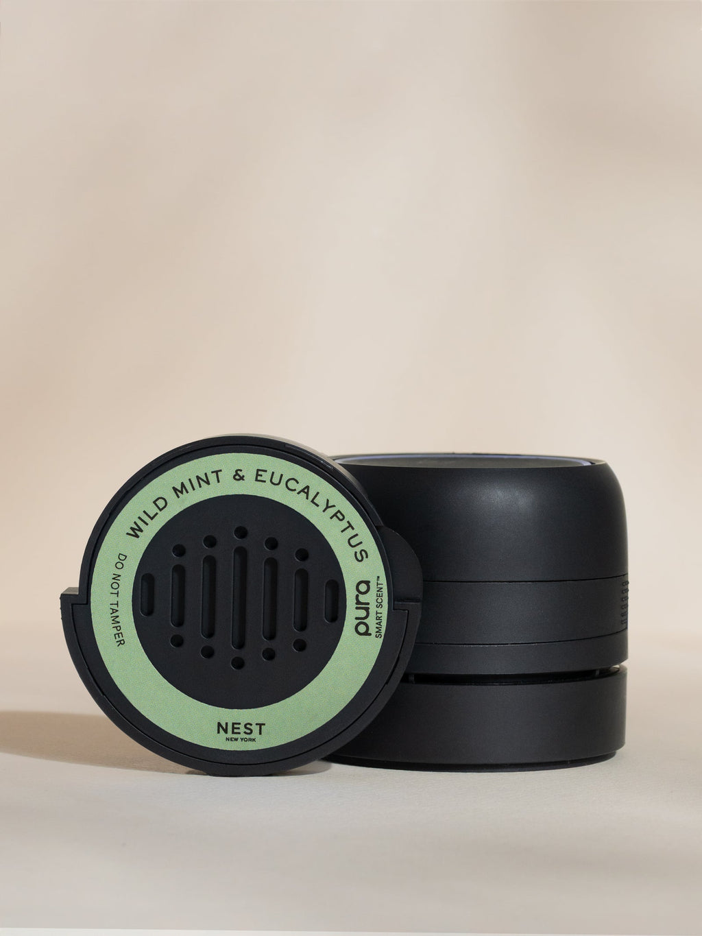 Wild Mint & Eucalyptus - Home Fragrance Upgrade