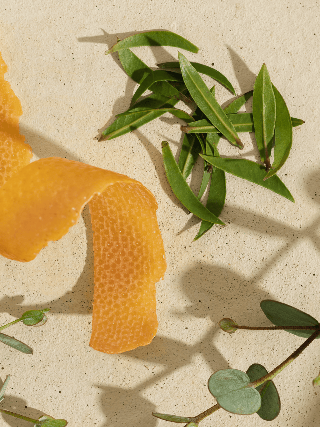 White Tea Blossom - Signature Room Scent