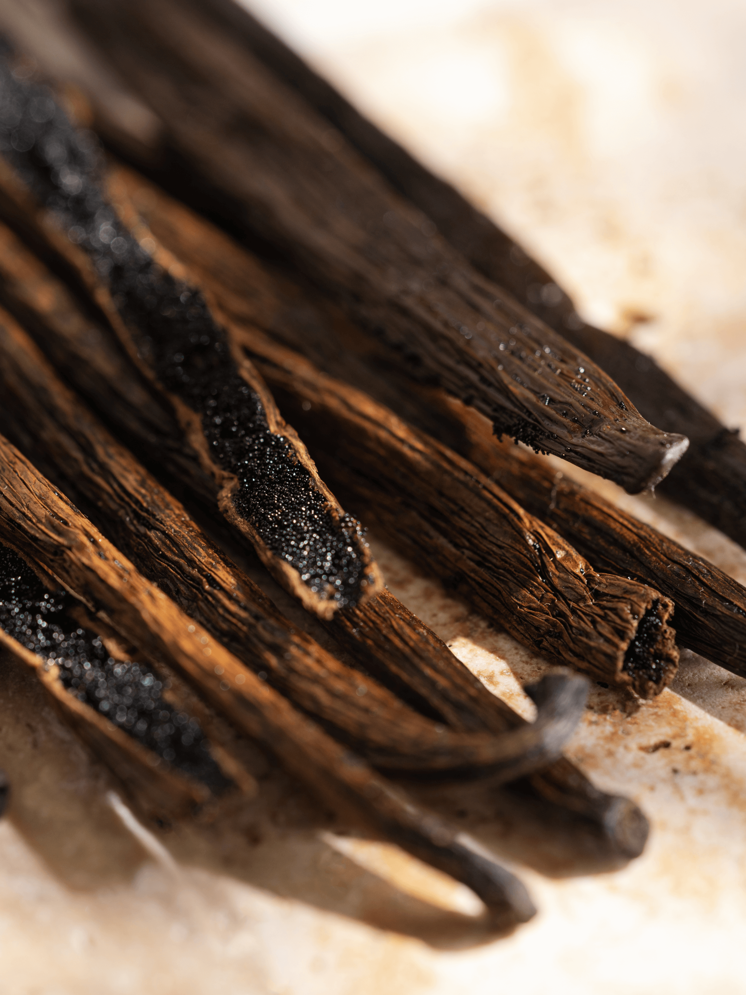 Vanilla - Made for Daily Living