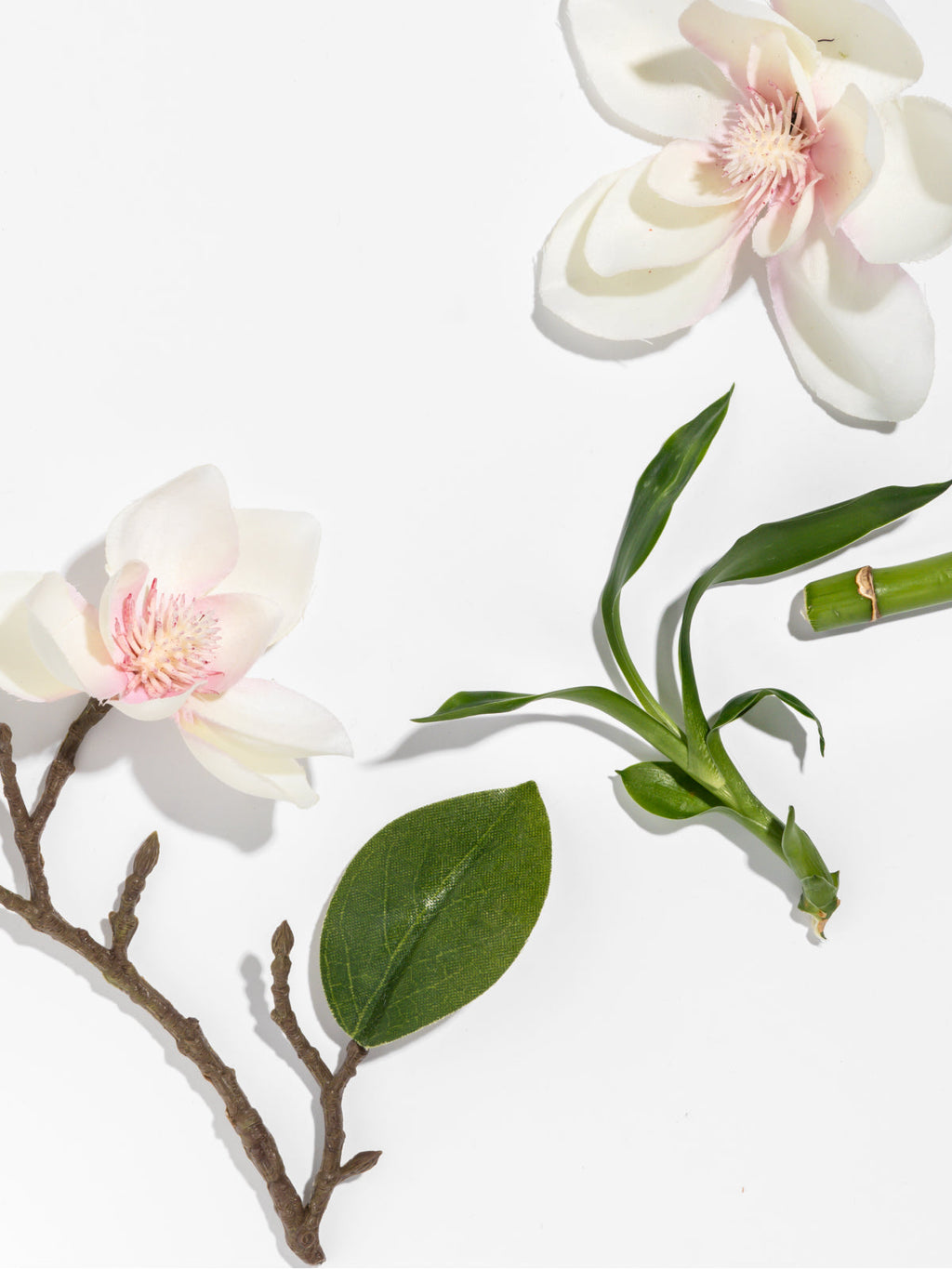 Star Magnolia - Daily Room Scent