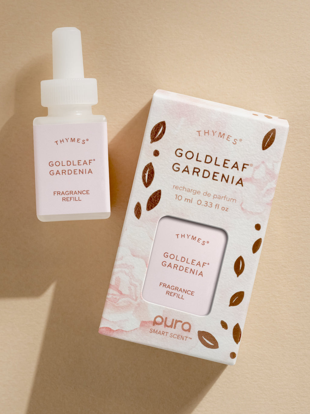 Goldleaf Gardenia﻿ - Upgrade Your Home