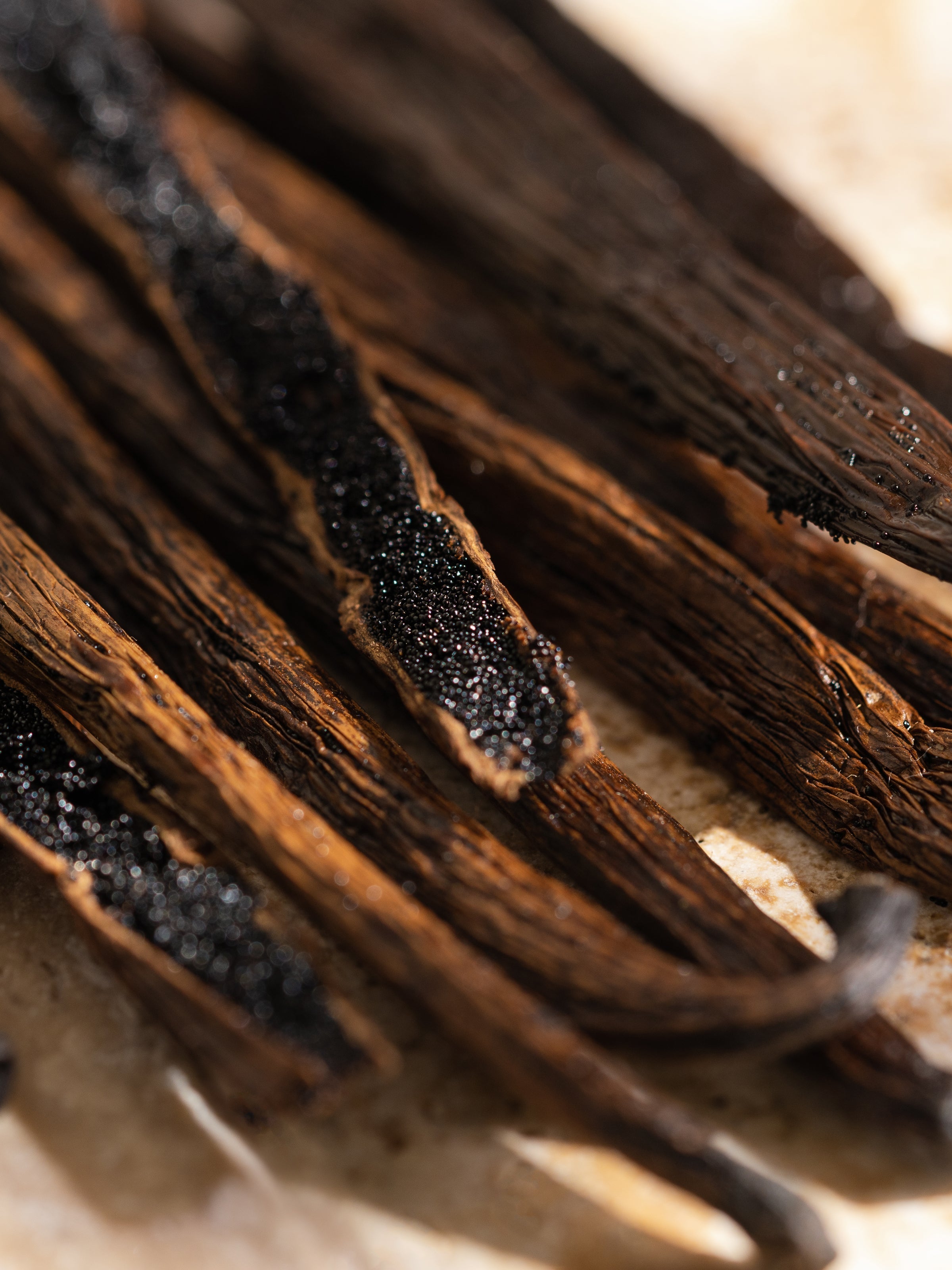 Havana Vanilla - Pura Fresh Daily
