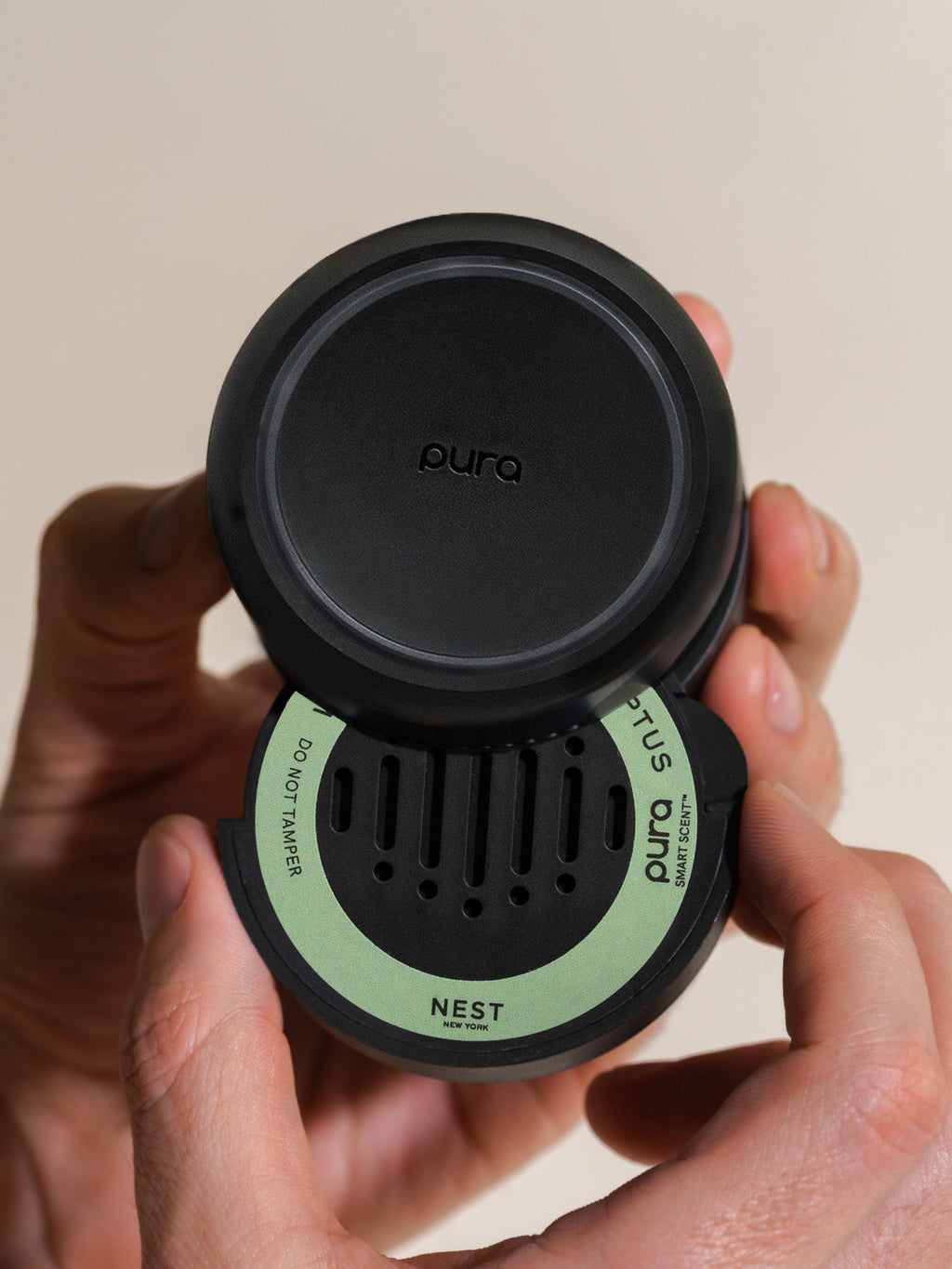 Wild Mint & Eucalyptus - Home Fragrance Upgrade