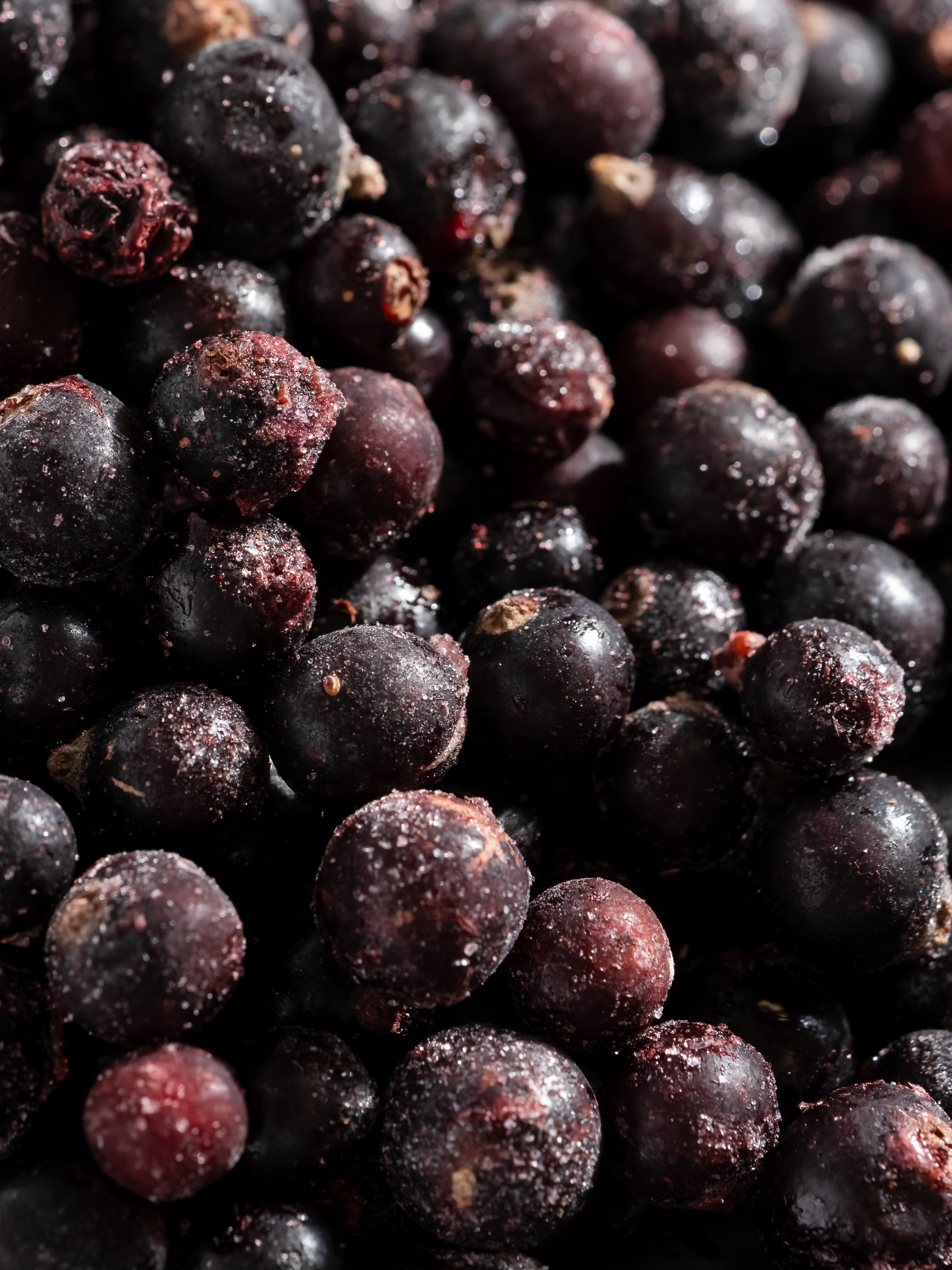 Sparkling Currant - Freshness with Style