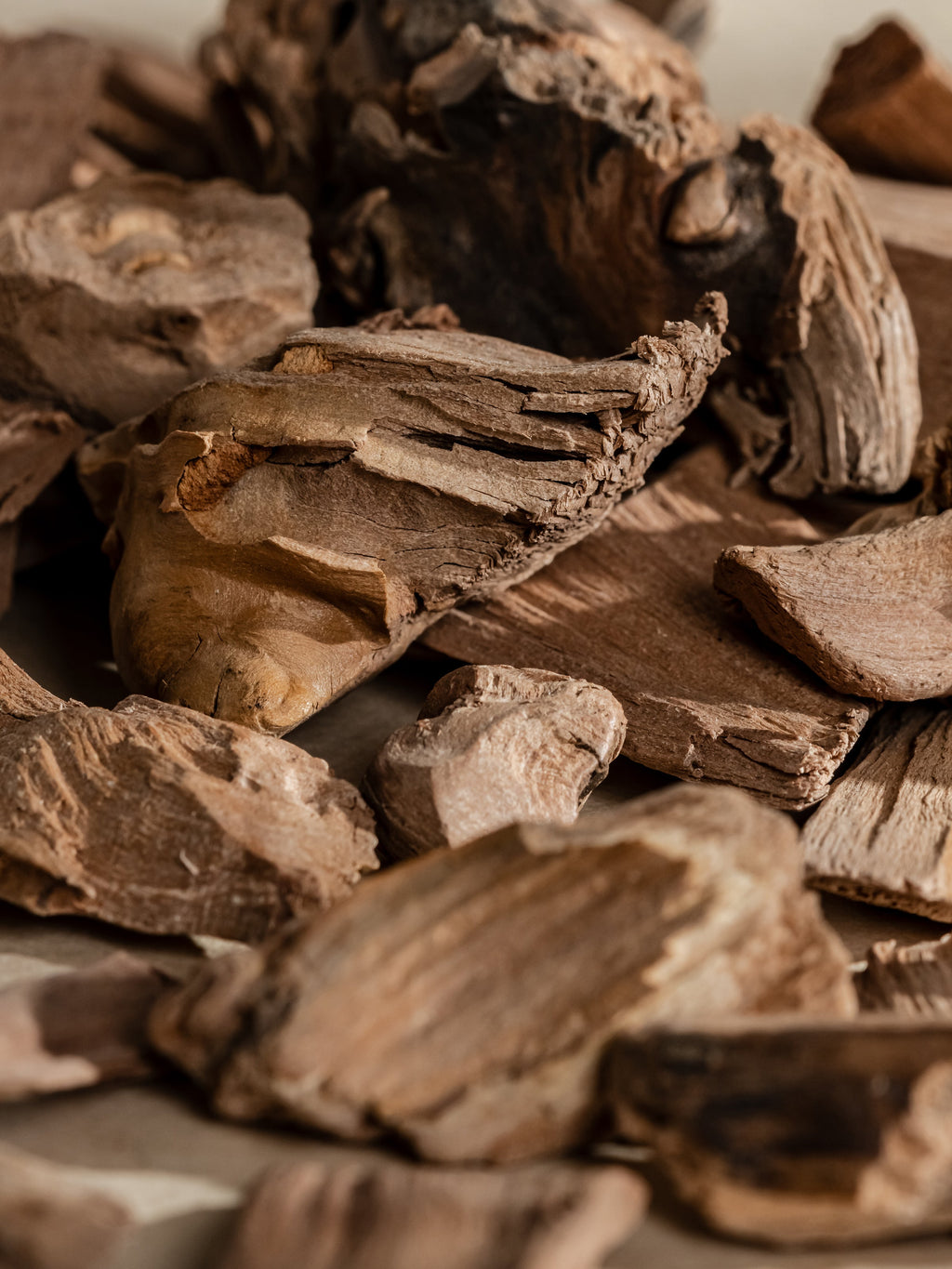 Chestnut Embers - Fragrance Made Effortless