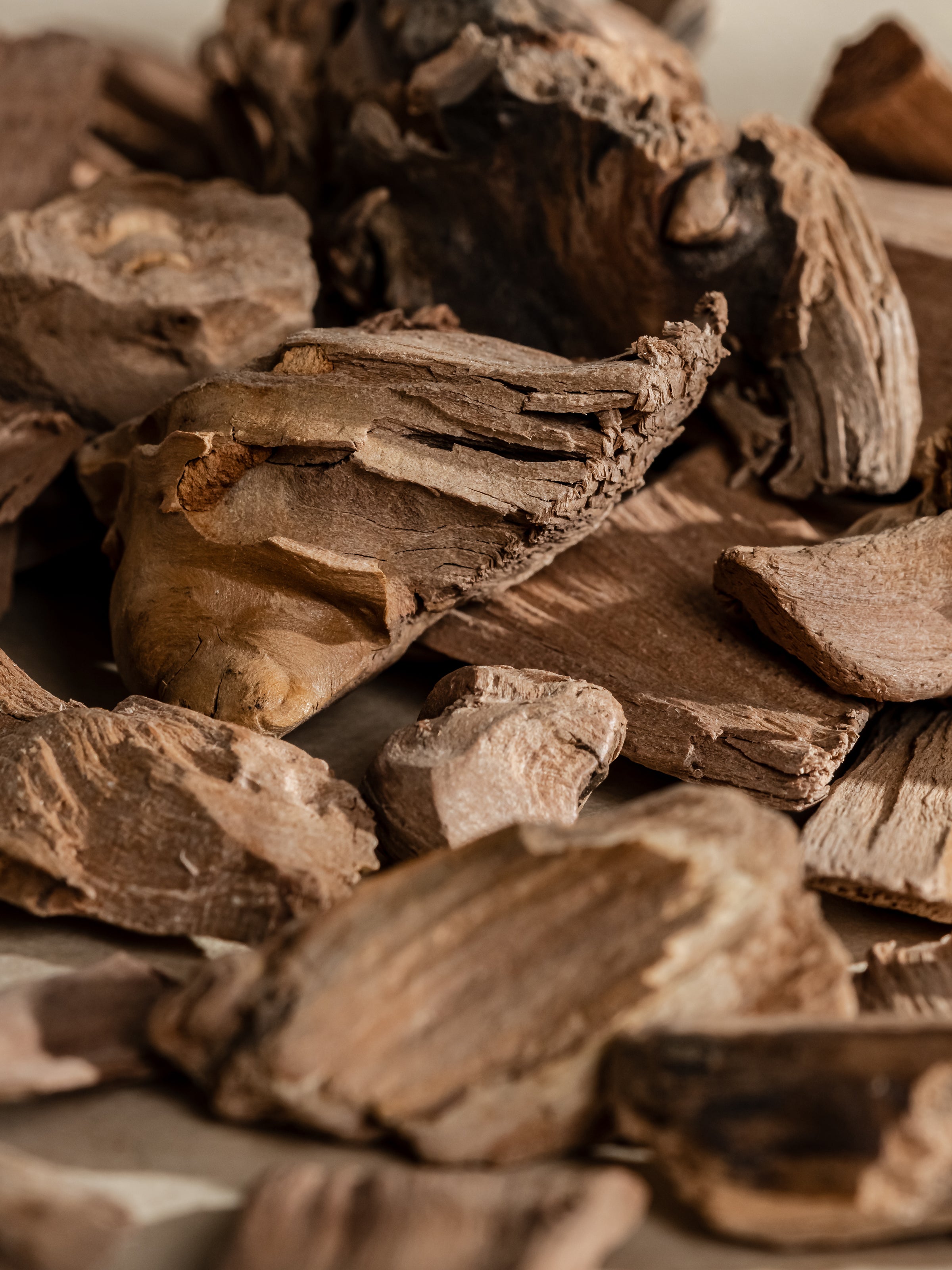 Chestnut Embers - Fragrance Made Effortless