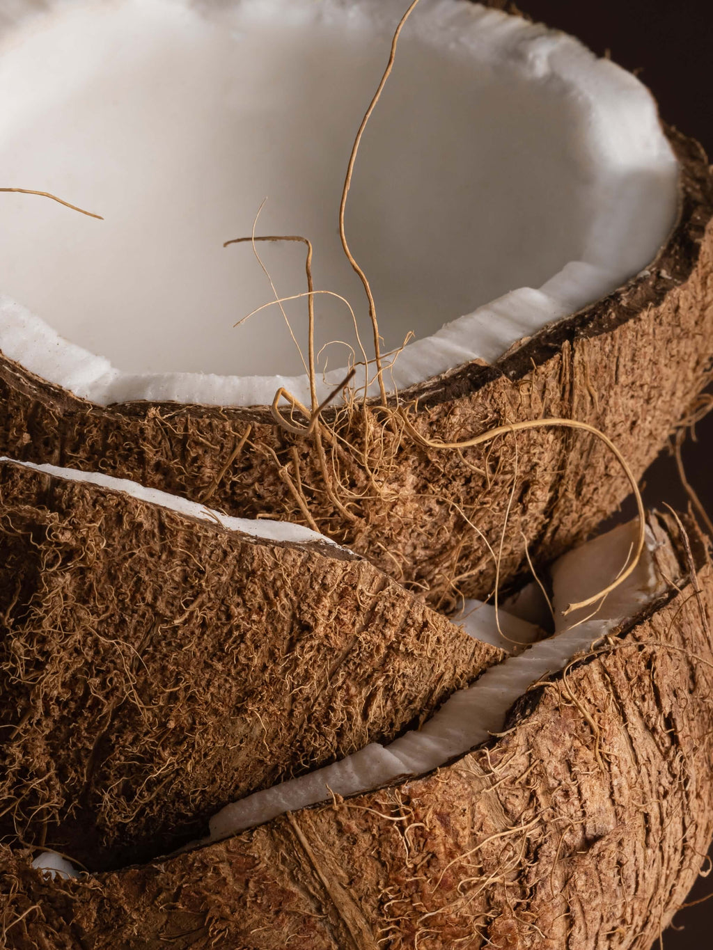 Coconut Sugar - Settle into Scent