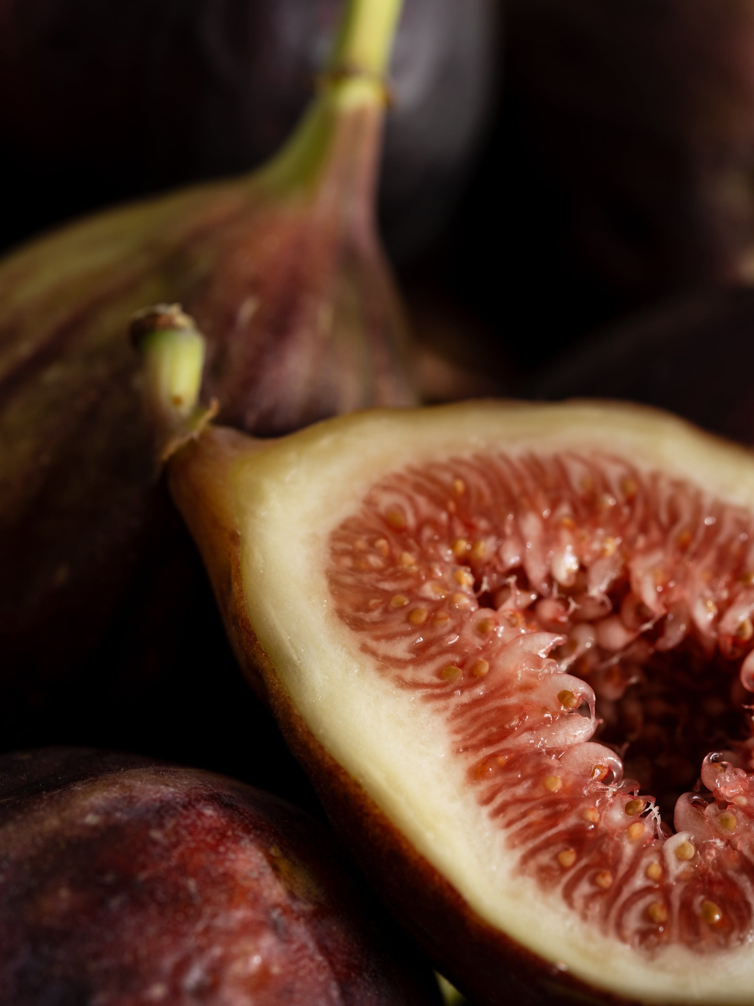 Riviera Fig - Scent with Style