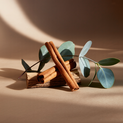Balsam & Cedar - Scented Space Style