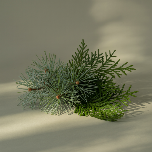 Birchwood Pine - Modern Room Scent