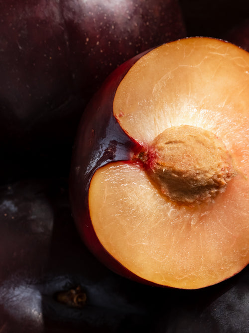 Autumn Plum - Fresh Starts Here