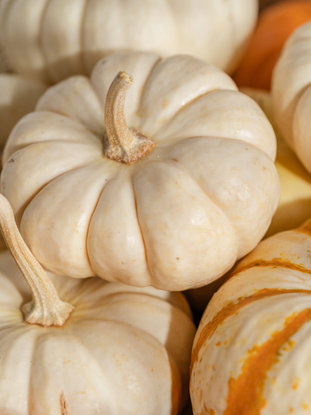 Pumpkin Macchiato - Fresh Space Daily