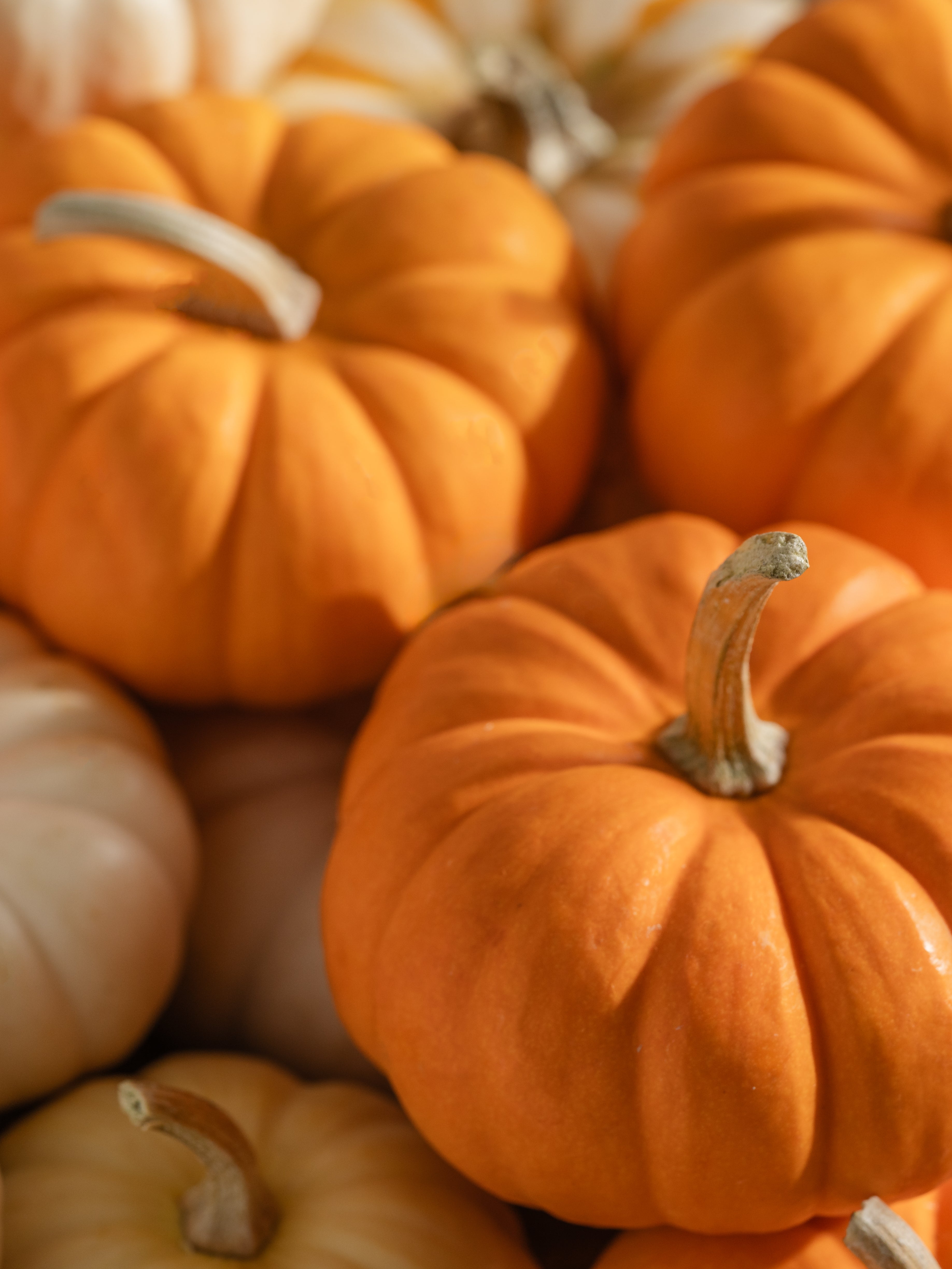 Pumpkin Laurel - Pura for Home