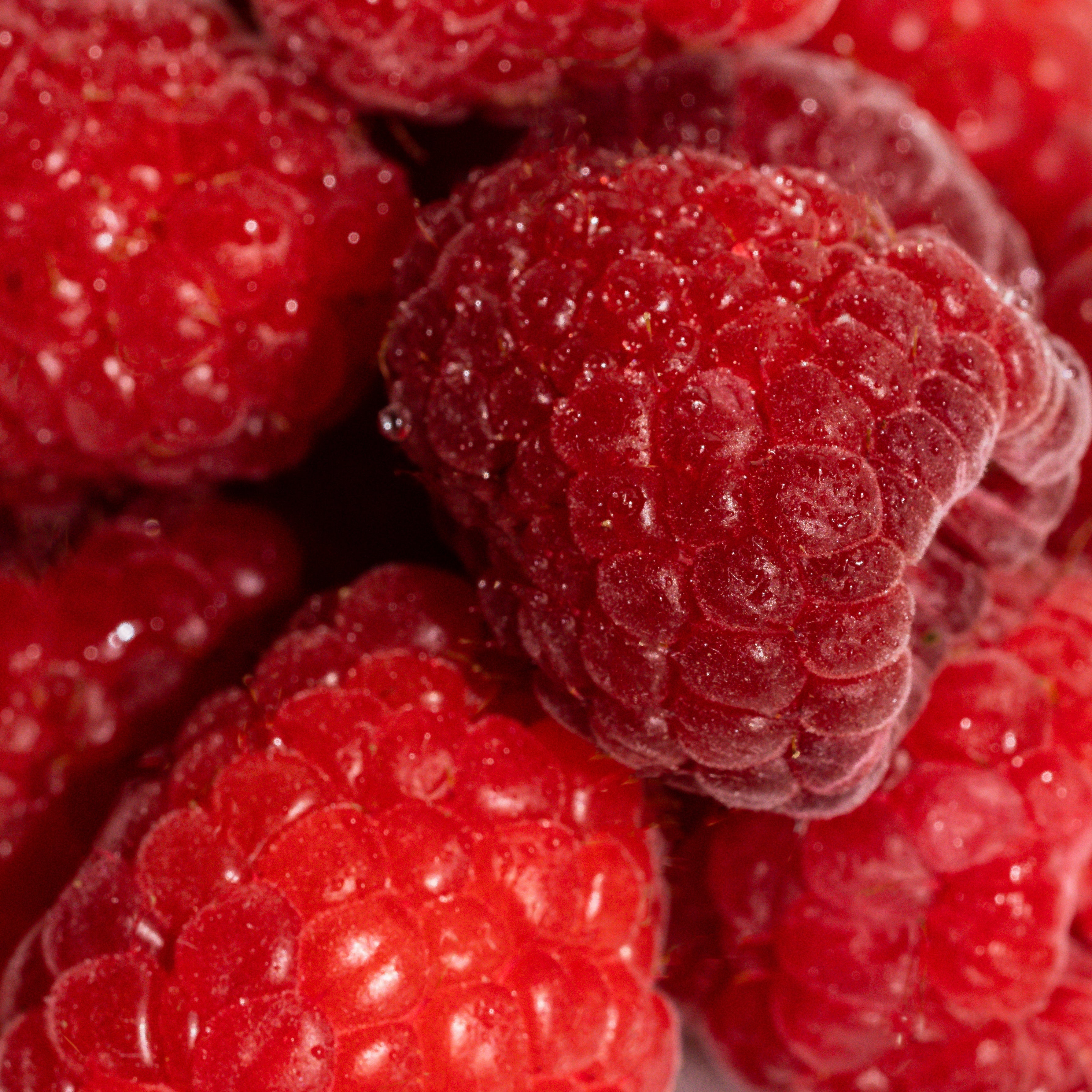 Vanilla Berry - Daily Scent Essential