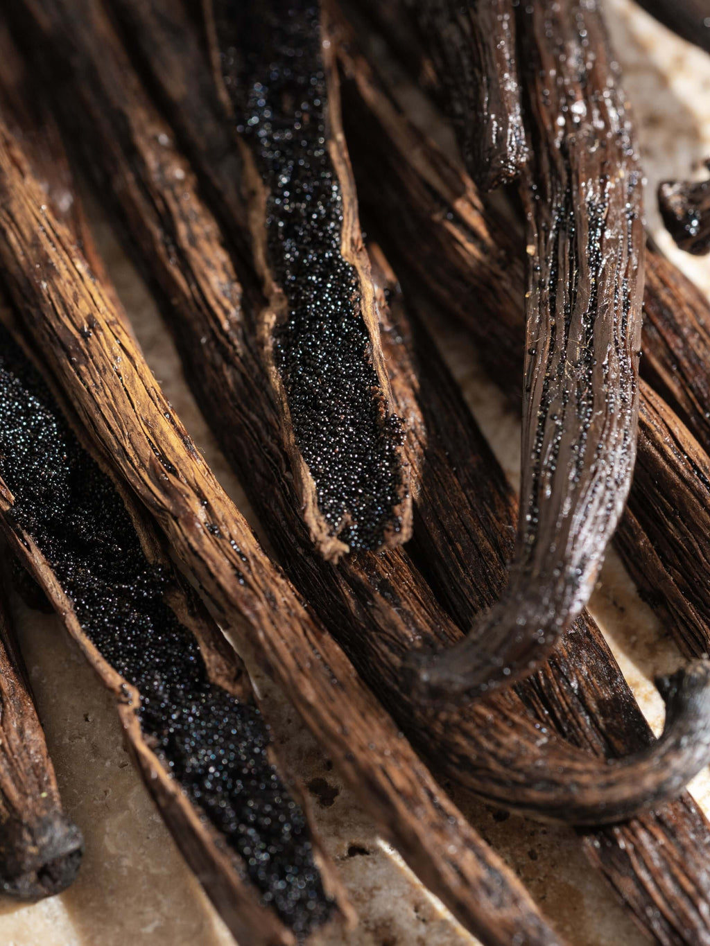 Homebody - Cozy Home Scent