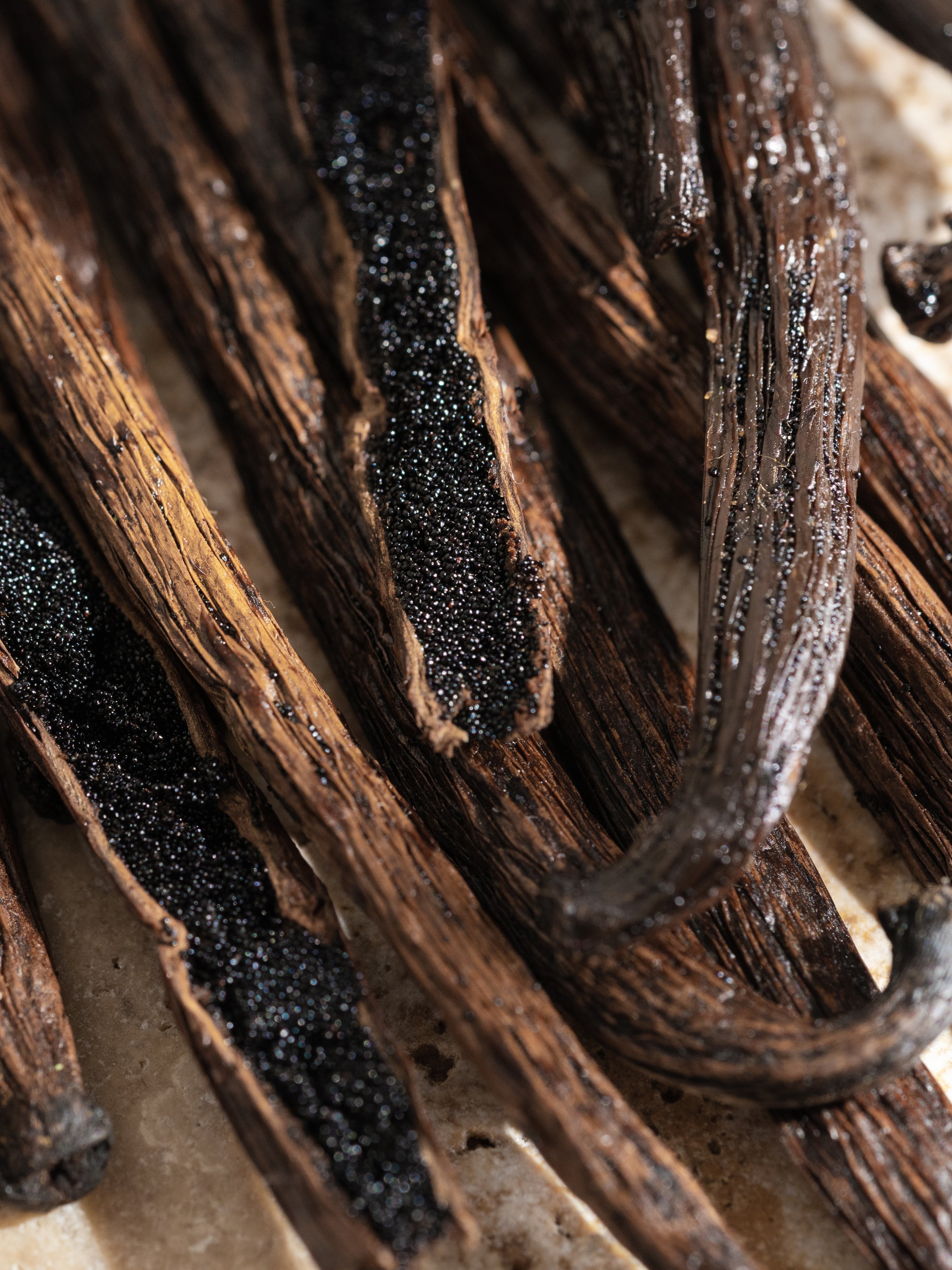 Cardamom Vanilla - Soft Scent Moment