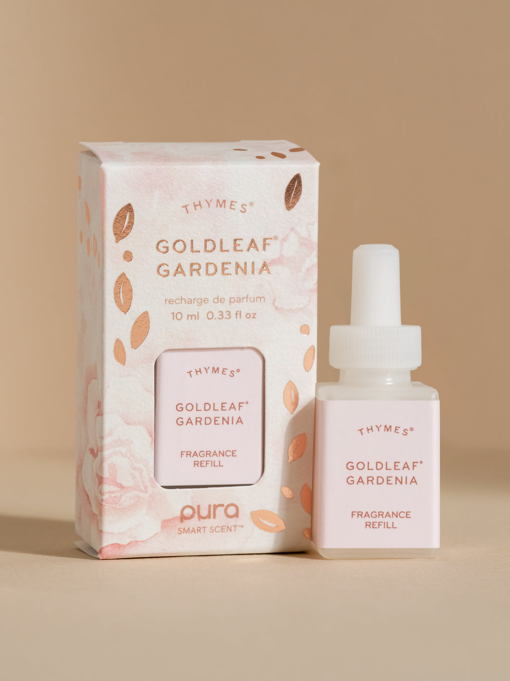 Goldleaf Gardenia﻿ - Upgrade Your Home