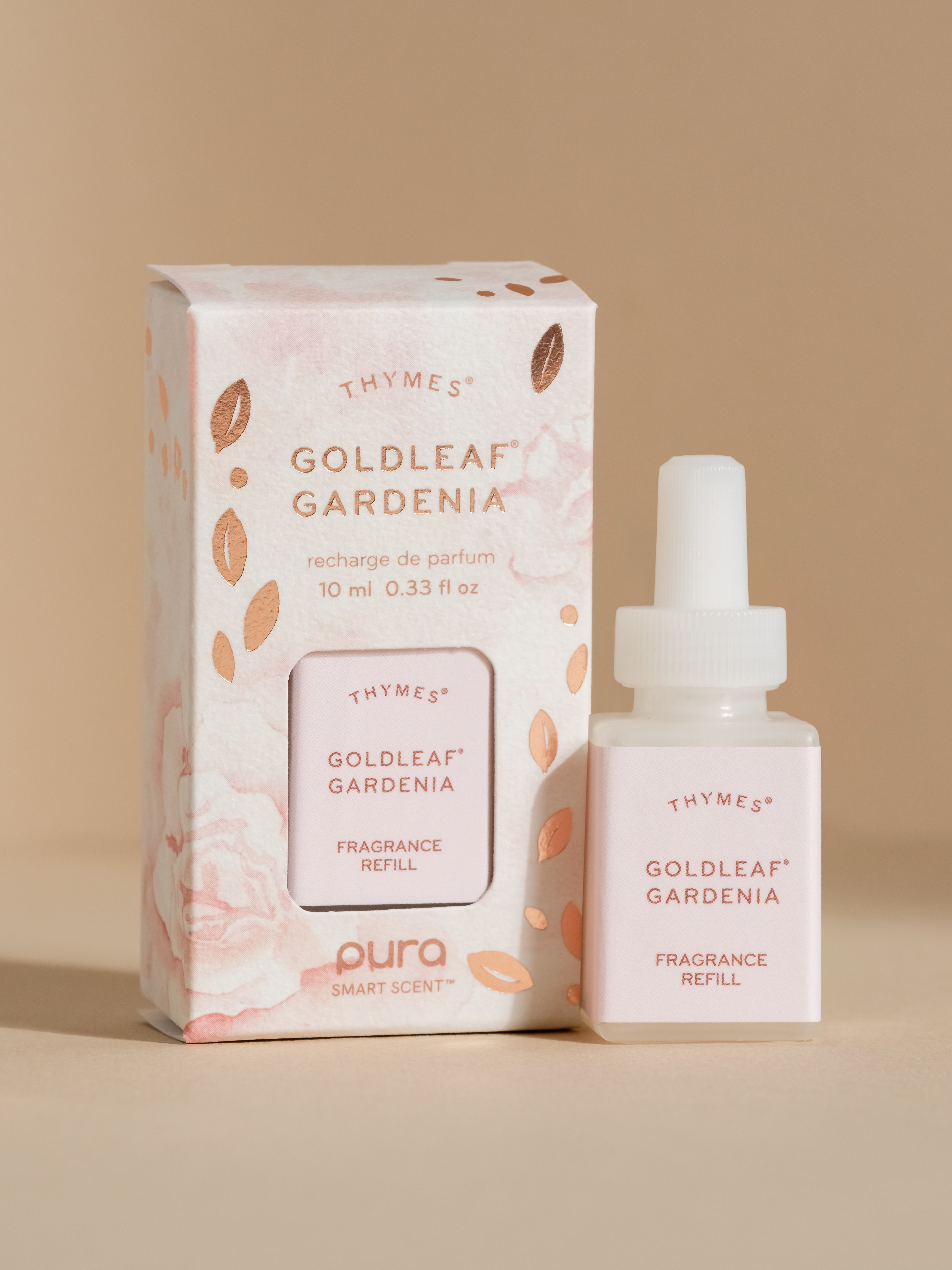 Goldleaf Gardenia﻿ - Upgrade Your Home