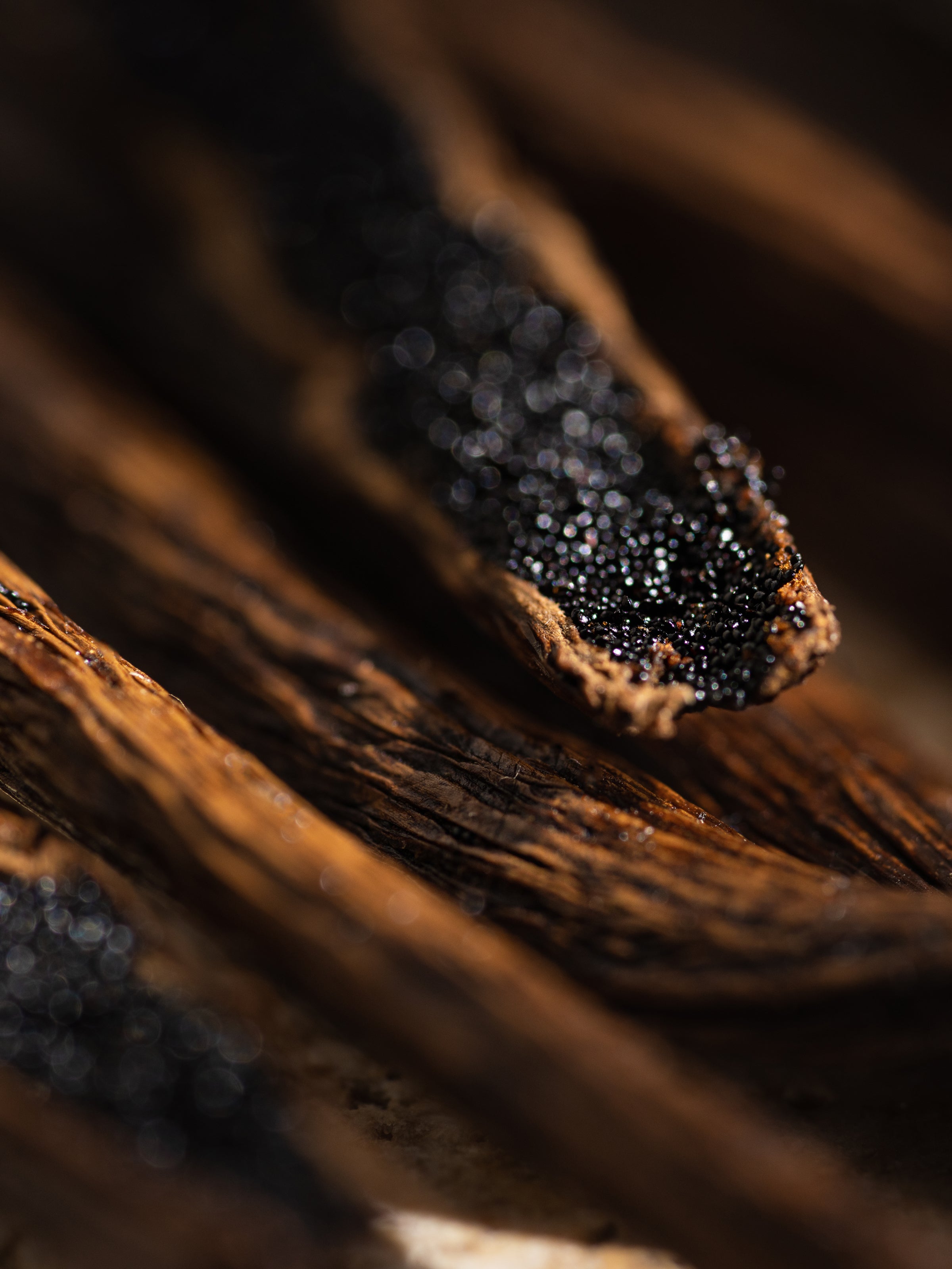 White Maple Bourbon - Room Fragrance Ready