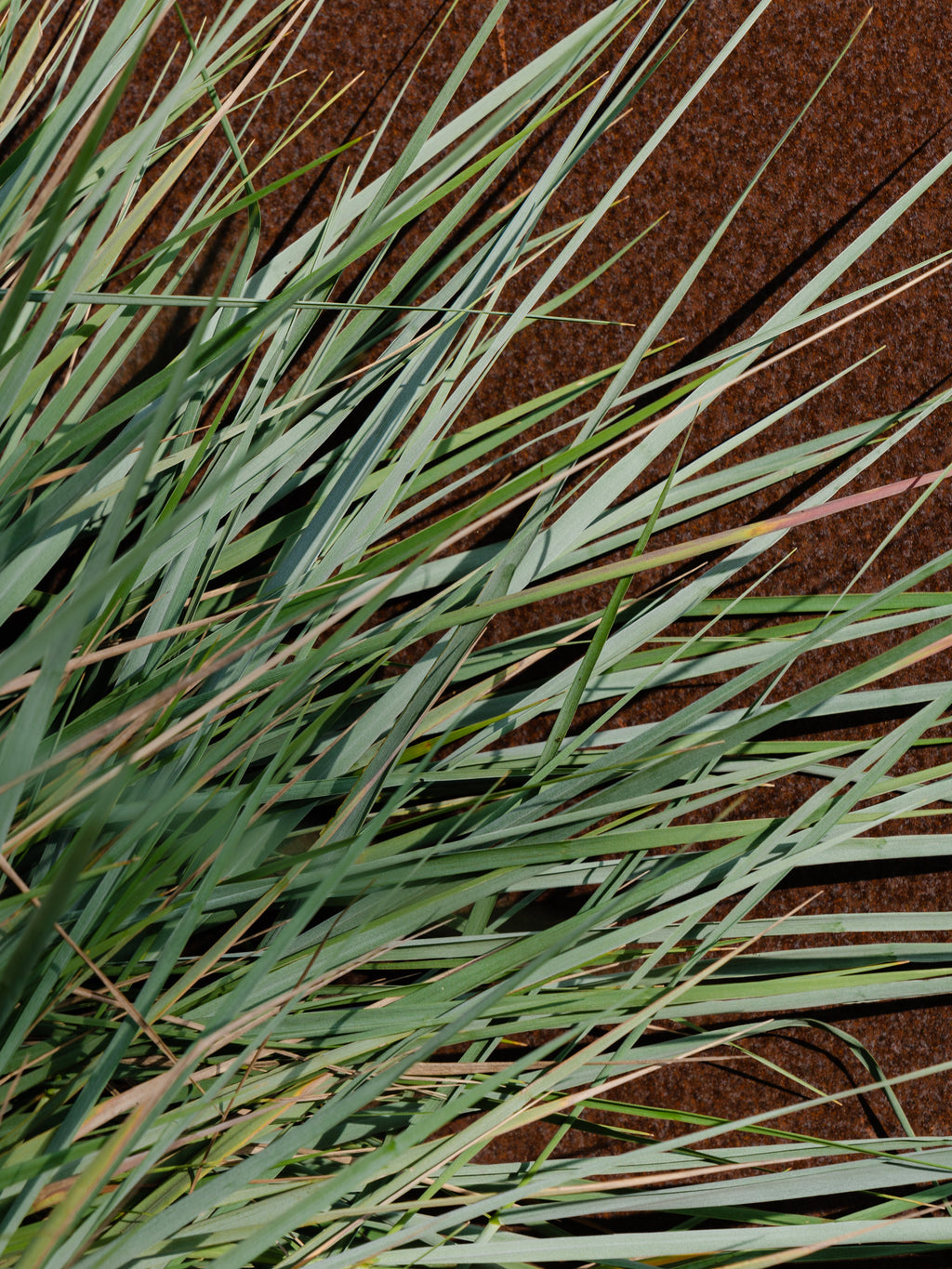 White Vetiver - Pura Makes It Cozy